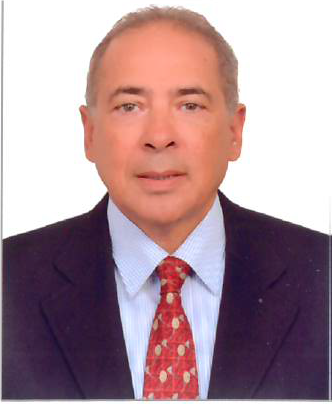 Mr. Tarek Abu Bakr Abbas Helmy