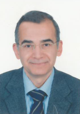 Mr. Hussein Moharm Hussein Guawdat ELGueretly