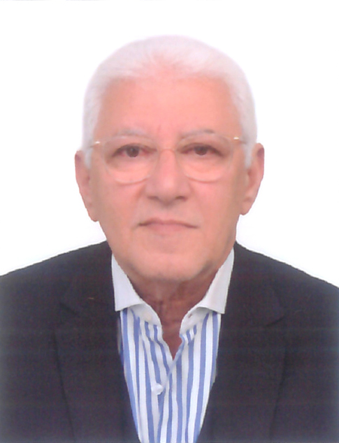 Mr. Ahmed Amr Ehab Tantawy