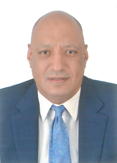 Mr. Amr Mohamed Bahaa El Din Farrag