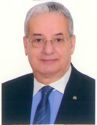 Mr. Mohamed Mohsen Salah ElDeen Abd ElWahab