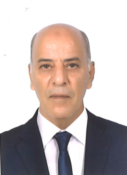 Mr. Adel Mohamed Fathy Abu Baker Borow